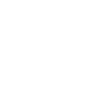 Intensiv-Versorgung-IV logo weiss