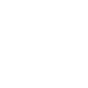 Dieses Bild zeigt das IV-Logo in weiß.