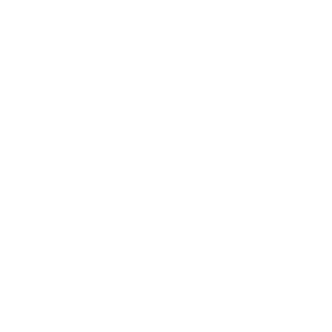 Dieses Bild zeigt ein Informationsicon.